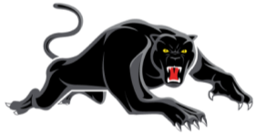 Panthers Logo